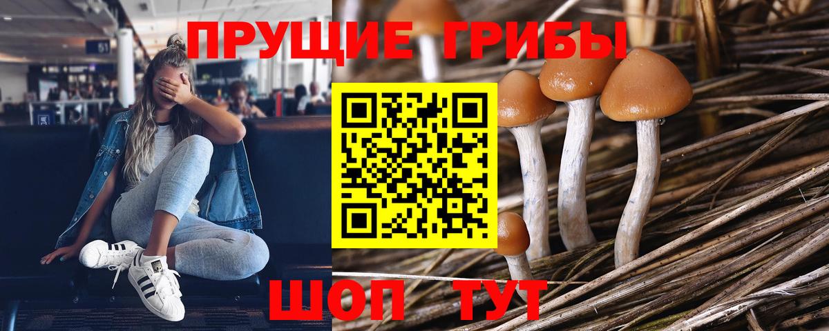 Псилоцибиновые грибы Psilocybine cubensis  Вход с VPN  Ачхой-Мартан  Псилоцибиновые грибы ЛСД 